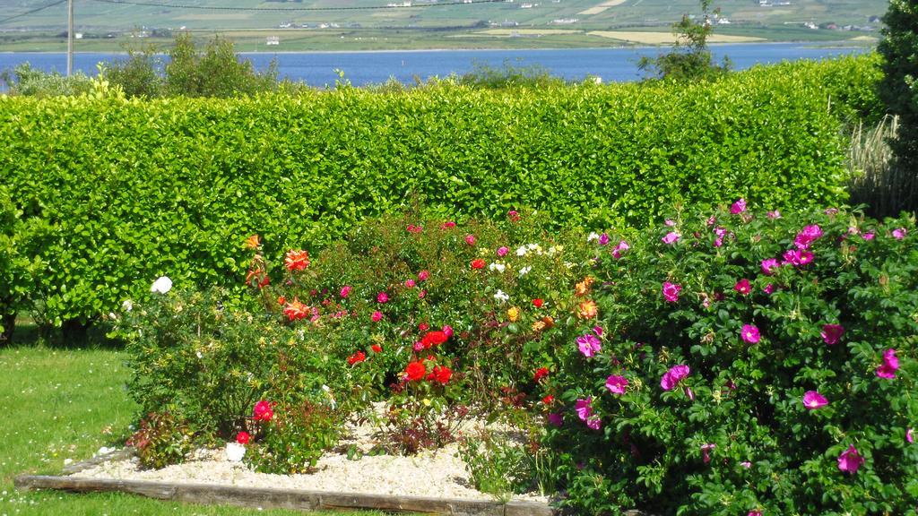 كاهيرسيفين Cul Draiochta B&B V23D540 المظهر الخارجي الصورة